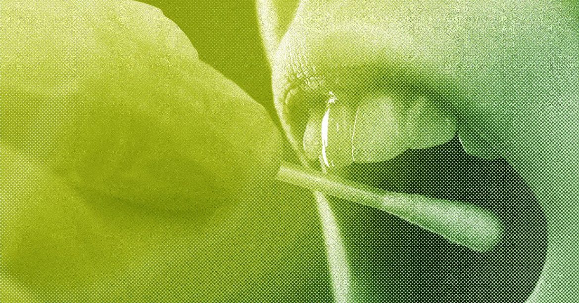 ICE’s DNA Collection Increases, SpaceX’s Rocket Crashes Into the Moon, and the AI Backlash Grows